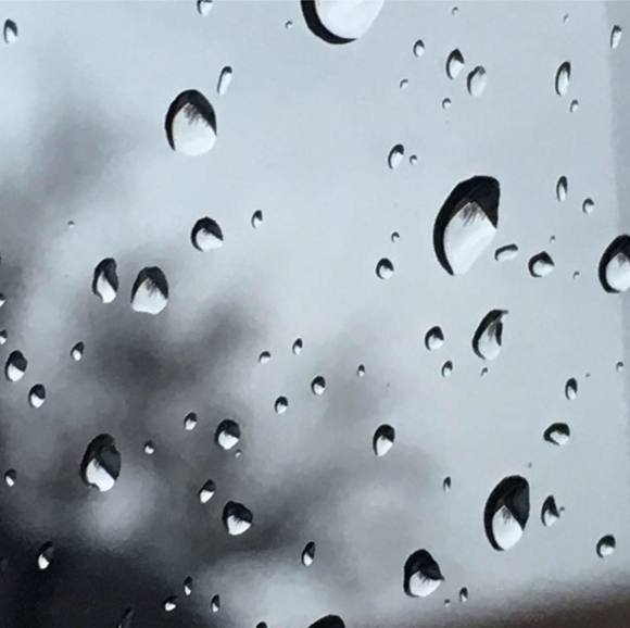 Meet your Posher, Shanel - Picture 1 of 1